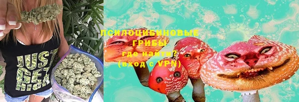 тгк Белокуриха